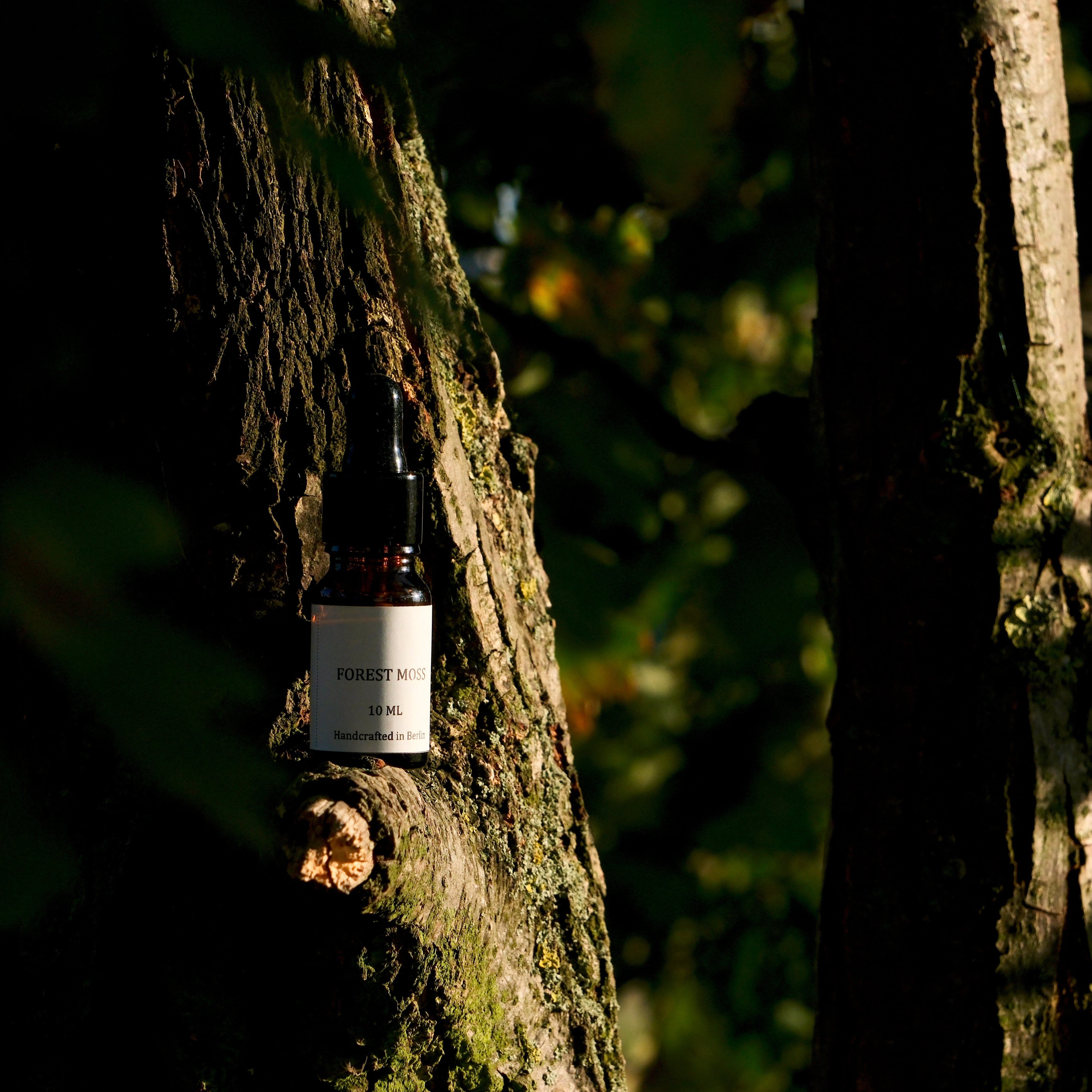 FOREST MOSS | 10ml Essential Oil Blend | Grounding & Earthy | The
