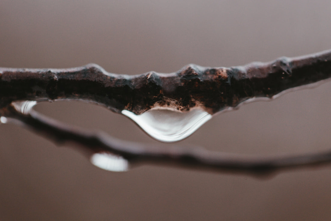 A close-up of a clear water droplet hanging from a wet, leafless branch against a blurred brown background
