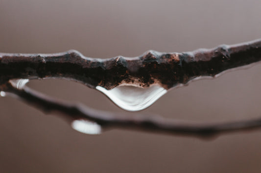 A close-up of a clear water droplet hanging from a wet, leafless branch against a blurred brown background