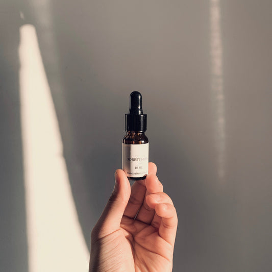 Why Scent Feels Different When the Seasons Change | Ranul Sense