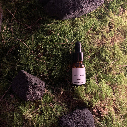 An amber dropper bottle labeled "FOREST MOSS" sits centered on a bed of green moss and pine needles, flanked by three dark volcanic rocks under warm, moody lighting.