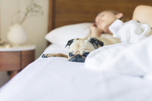 A Scented Morning: How to Start Your Day with Energy and Intention