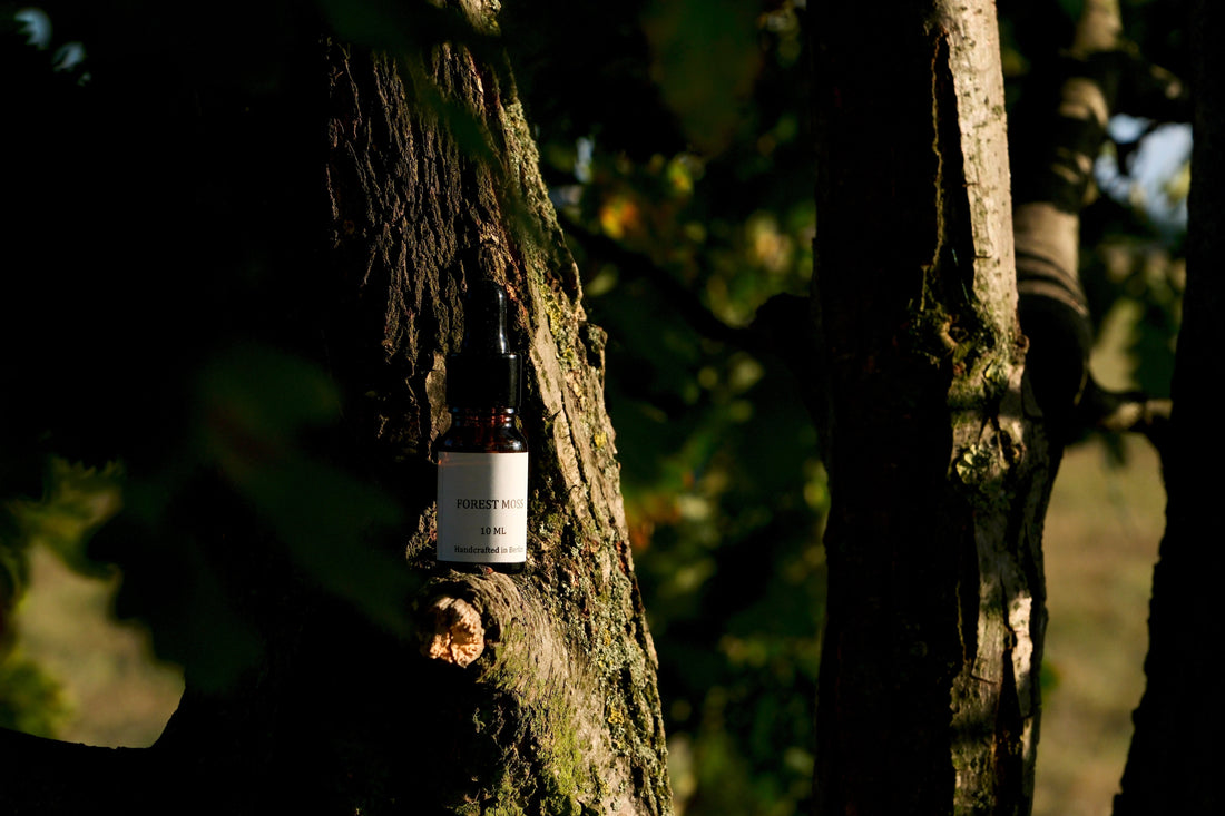 an essential oil dropper bottle, FOREST MOSS labeled, placed on the tree in the nature