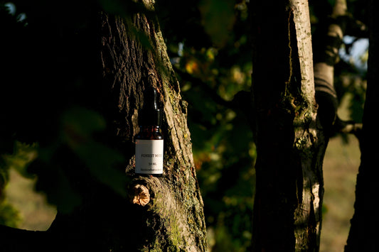 an essential oil dropper bottle, FOREST MOSS labeled, placed on the tree in the nature