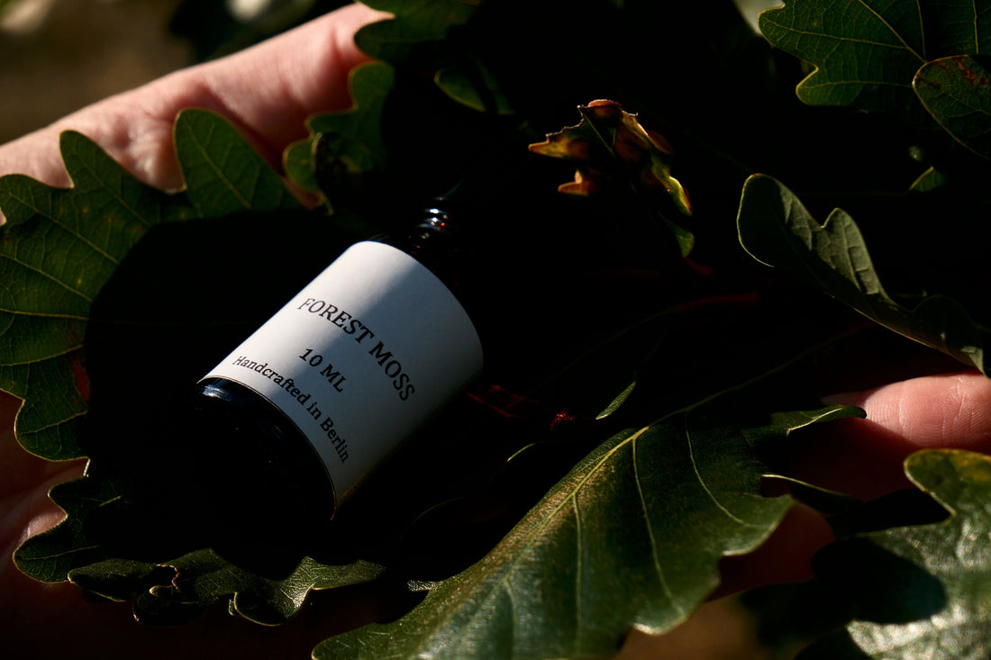 ption 1 (Concise) A person's hand holding green oak leaves cradling an amber bottle labeled "Forest Moss - 10 ML - Handcrafted in Berlin," highlighted by soft outdoor lighting.