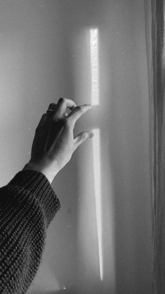 The Silence Between Scents