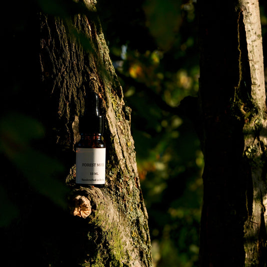 FOREST MOSS – 10ml Essential Oil Blend | Grounding & Earthy Aroma